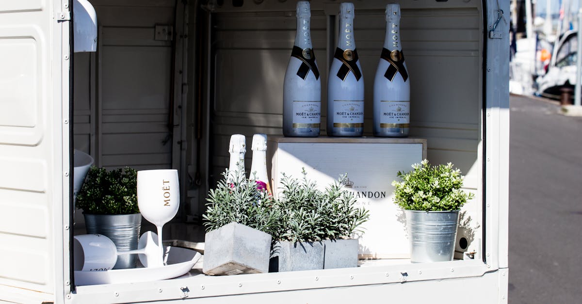 Wine Sampling Sonoma Valley