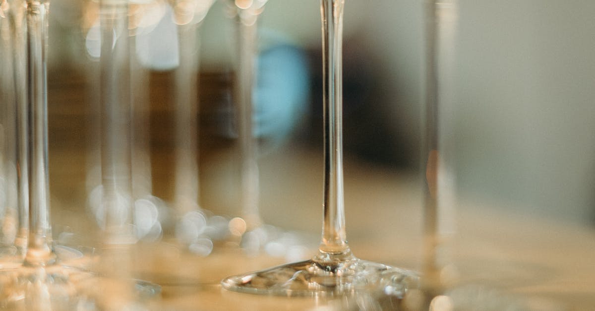 Wine Sampling Sonoma County