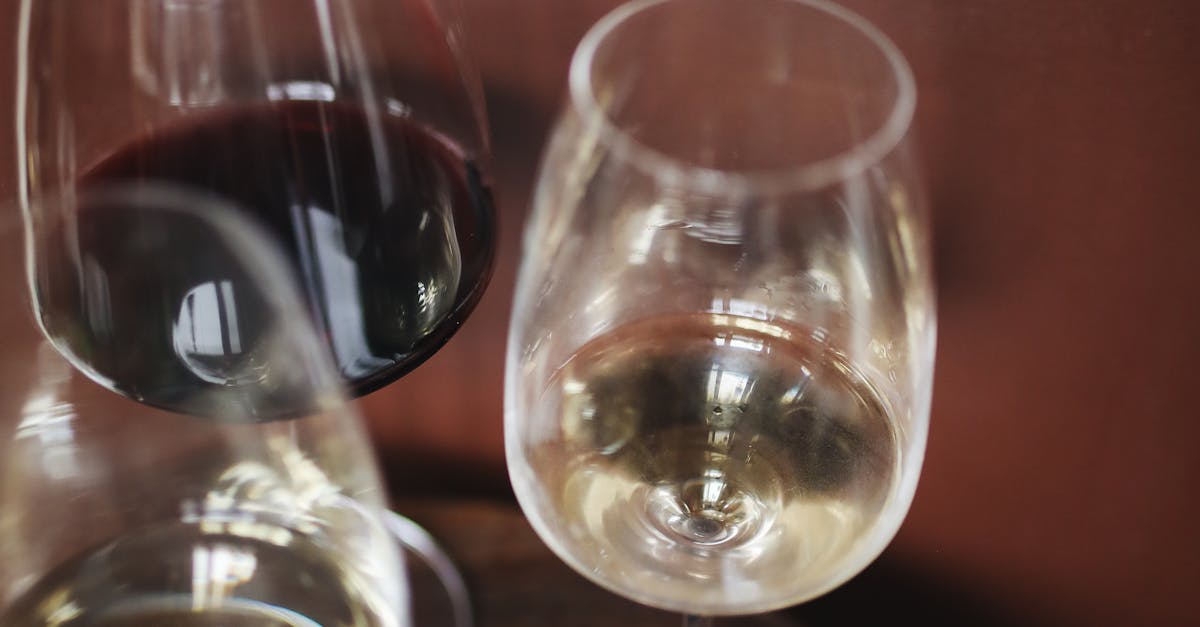 Wine Tasting Sonoma Valley