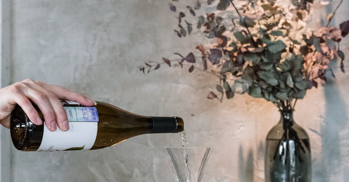 Wine Experience Sonoma Valley